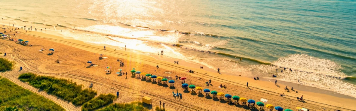 Fun Things To Do In Columbia SC
