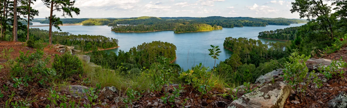 Aventuras al aire libre. Explorando la naturaleza en Columbia, SC